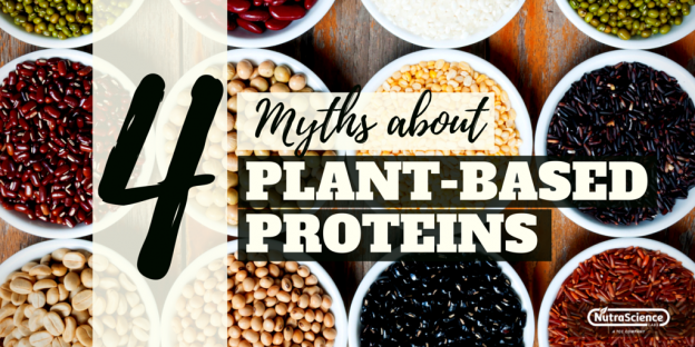 4 Myths about Plant-Based Protein 